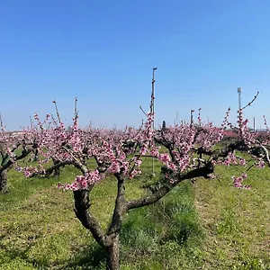Corte Vecia Della Corte Alloggio per agriturismo Verona